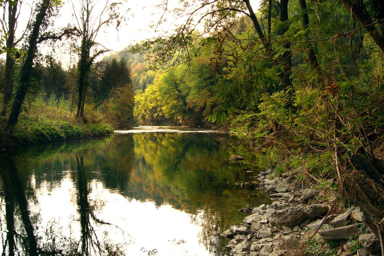Gasthof Dangl Wimpassing an der Pielach Екстериор снимка